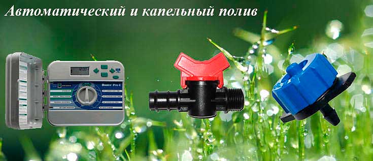 Автополив.735x317.jpg